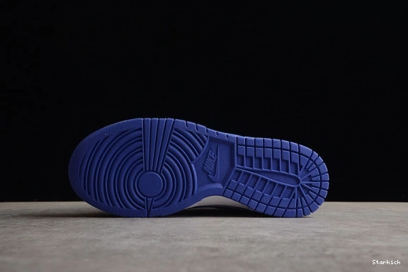 (GS) Dunk Blueberry Low Nike DZ4456-100 1123